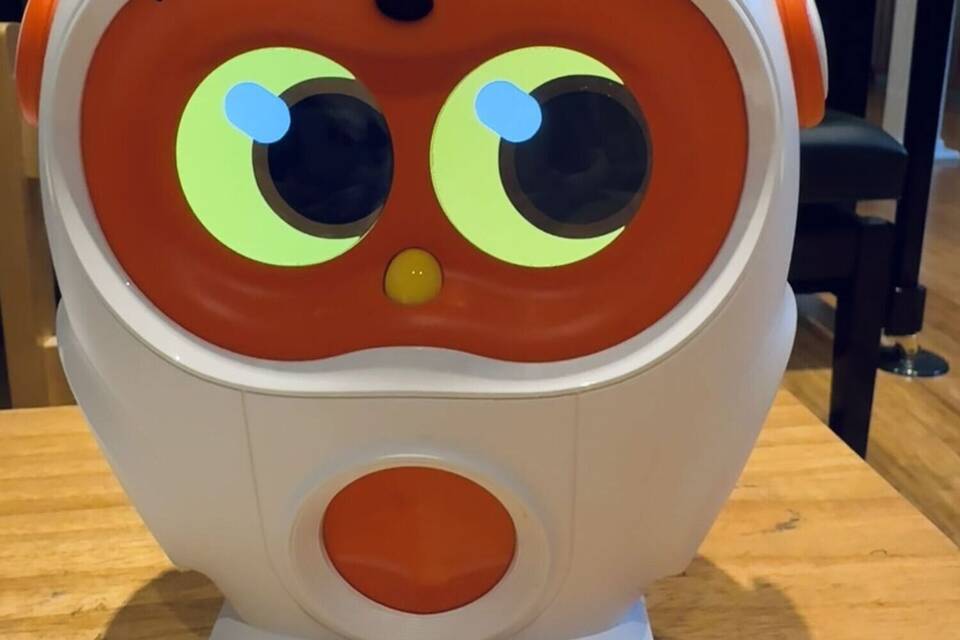 Luka, der Vorleseroboter