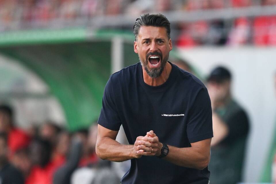 Hallescher FC - FC Augsburg Hallescher FC - FC Augsburg