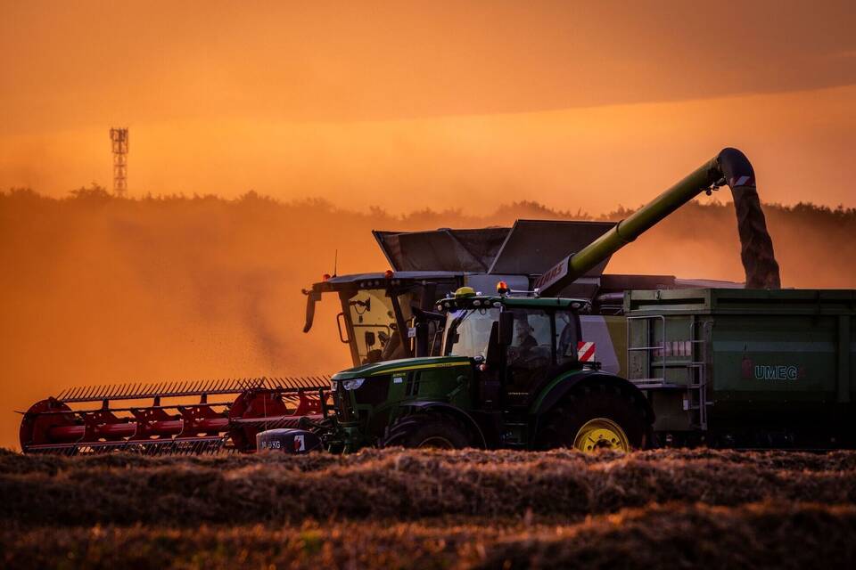 Getreideernte beim Sonnenuntergang