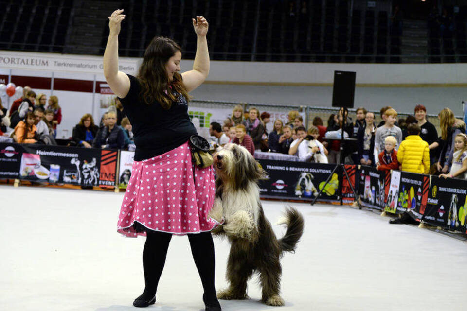 Dog Dance: Der Paartanz für Hund und Herrchen
