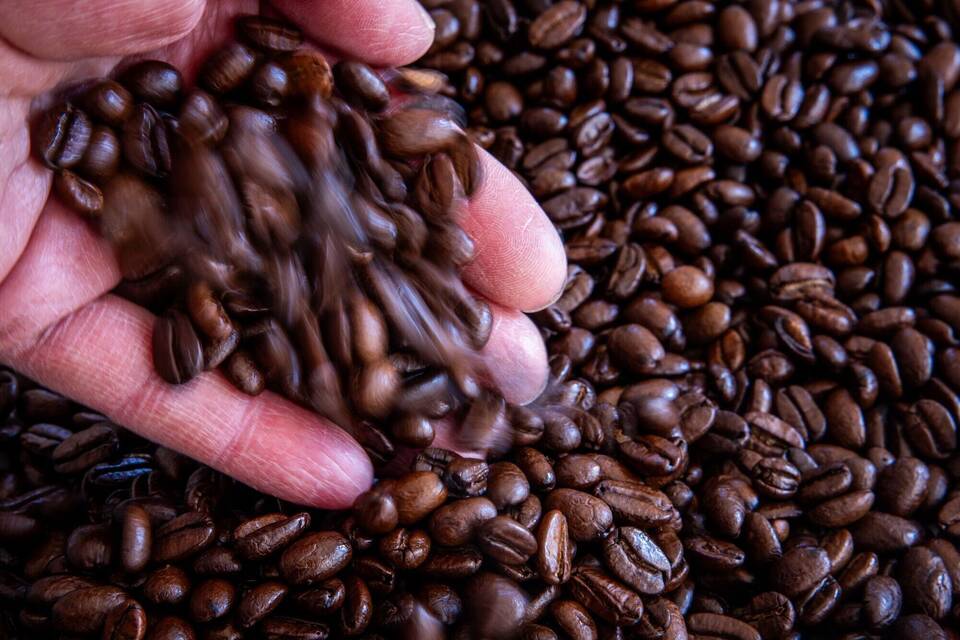 Kaffeepreis Kaffeepreis