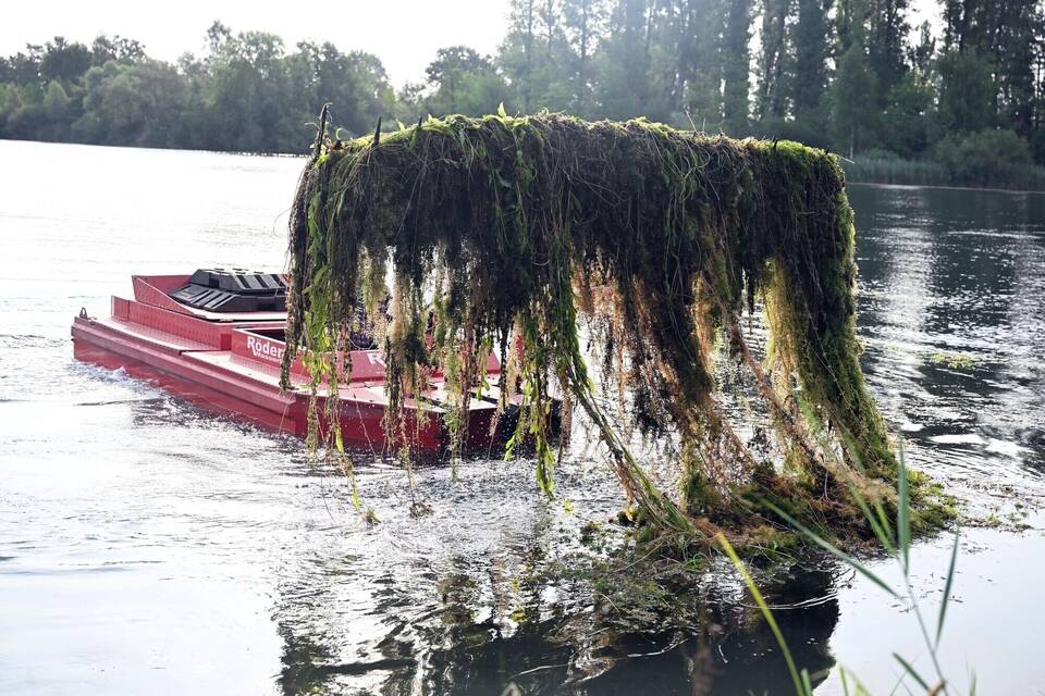 Algenbeseitigung an einem Baggersee