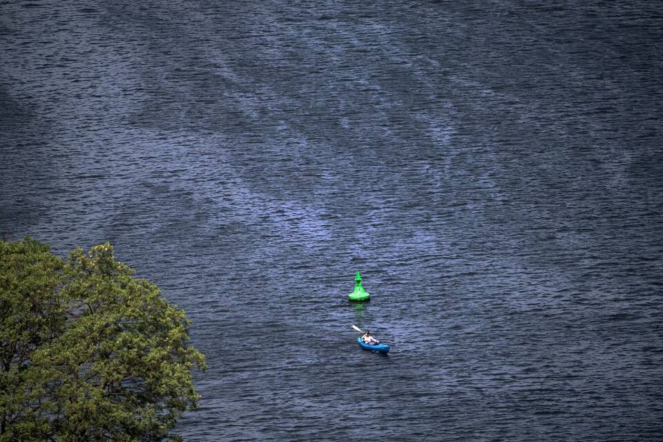 Paddler Paddler