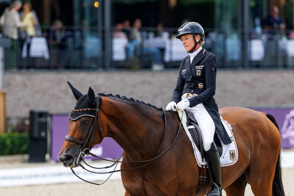 FEI Dressur Europameisterschaft 2025 FEI Dressur Europameisterschaft 2025
