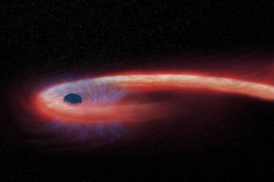 Mysteriöse Massemonster: Erste Aufnahme eines Schwarzen Lochs geplant