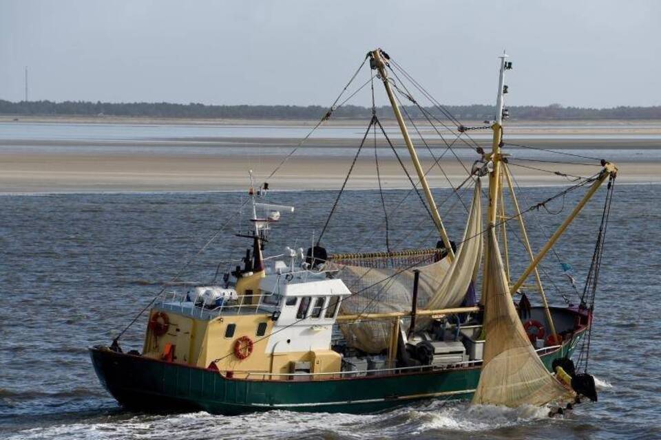Nordsee-Fischer Nordsee-Fischer