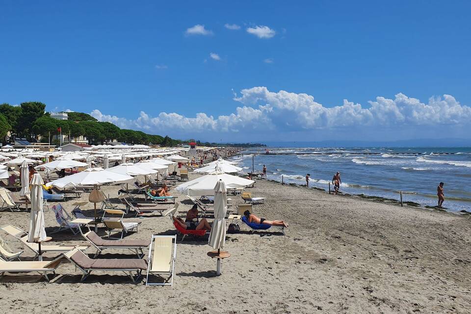 Grado Grado