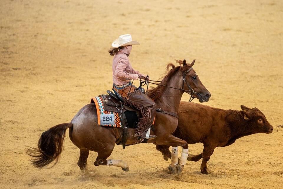 Die Western-Messe Americana - Traum vom Wilden Westen am Bodensee