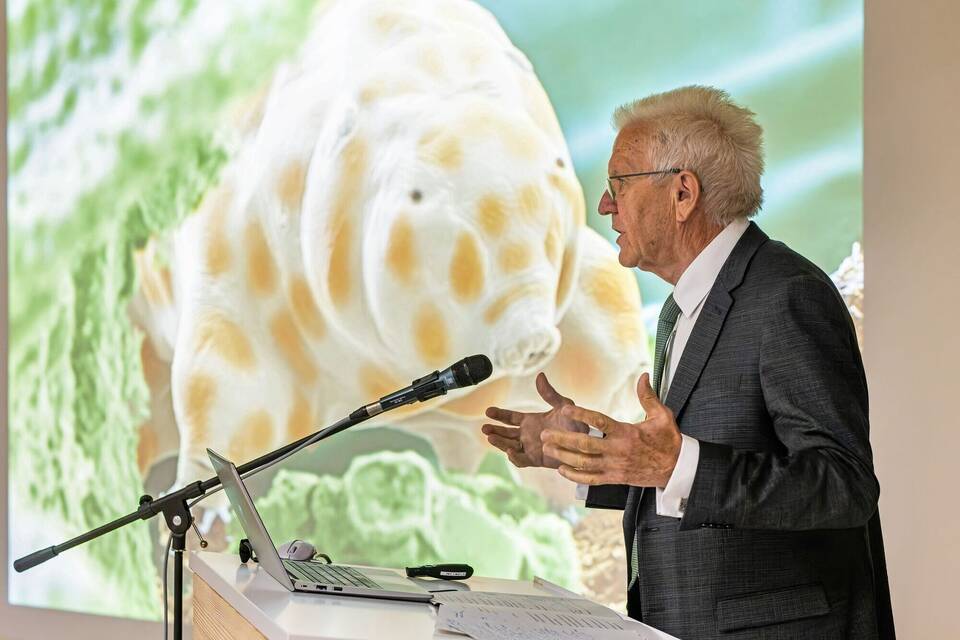 Vorstellung einer neuen Bärtierchen-Art Vorstellung einer neuen Bärtierchen-Art