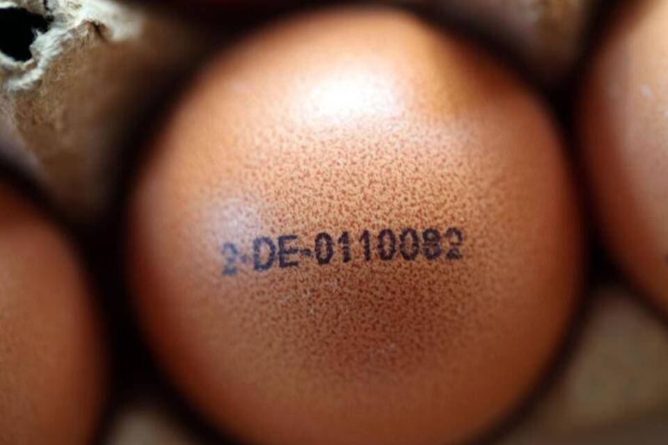 Eier mit Codes Eier mit Codes