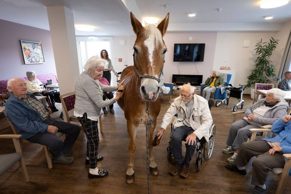 Mit dem Pferd ins Altenheim