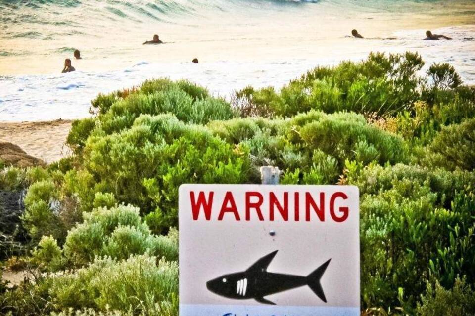 Hai-Attacken in Australien Hai-Attacken in Australien