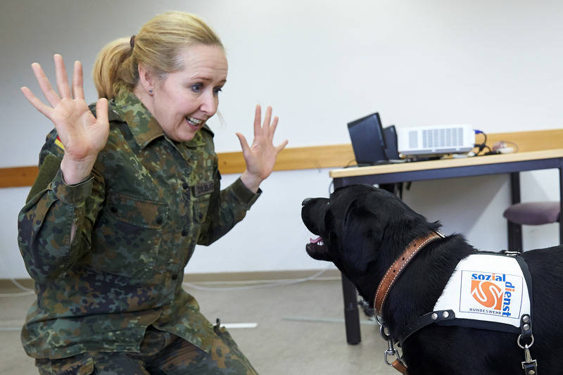 Therapie Auf Vier Pfoten Neue Jobs Fur Hunde Der Bundeswehr Rhein Neckar Zeitung Regionalnachrichten Rnz