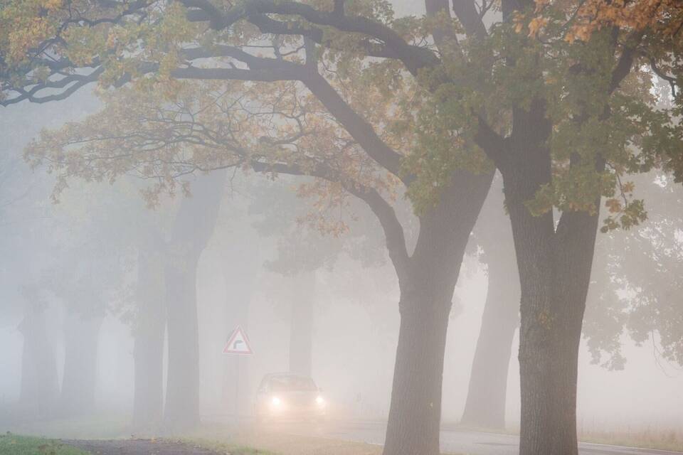 Auto fährt bei Nebel auf einer Landstraße Auto fährt bei Nebel auf einer Landstraße