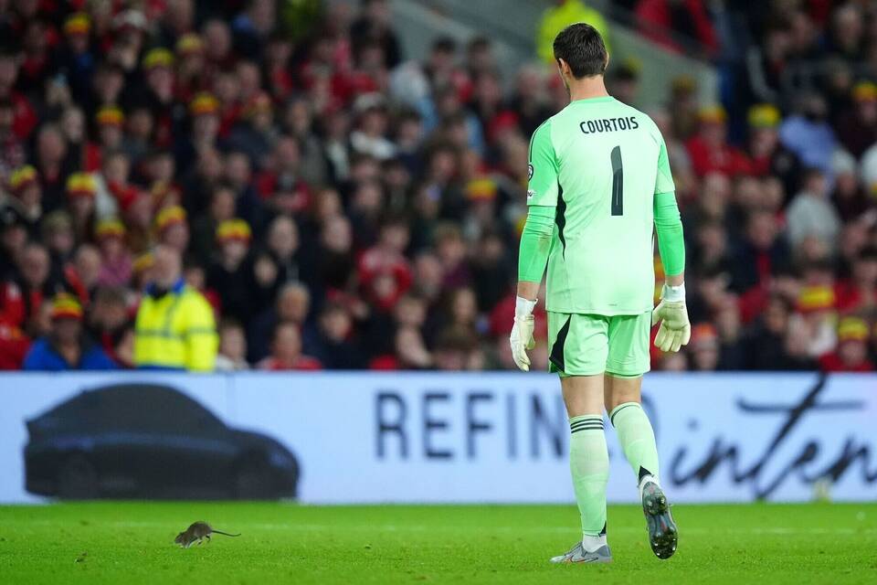 Wales - Belgien