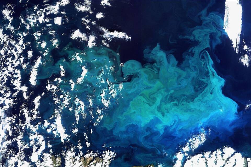 Weniger Plankton durch wärmere Ozeane