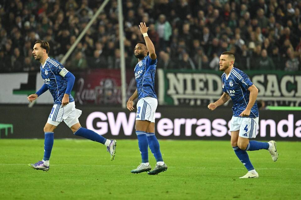 Hannover 96 - FC Schalke 04