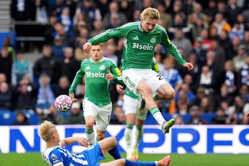 Brighton & Hove Albion - Newcastle United