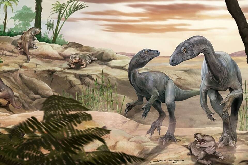 Einer der ältesten Dinosaurier in Argentinien gefunden