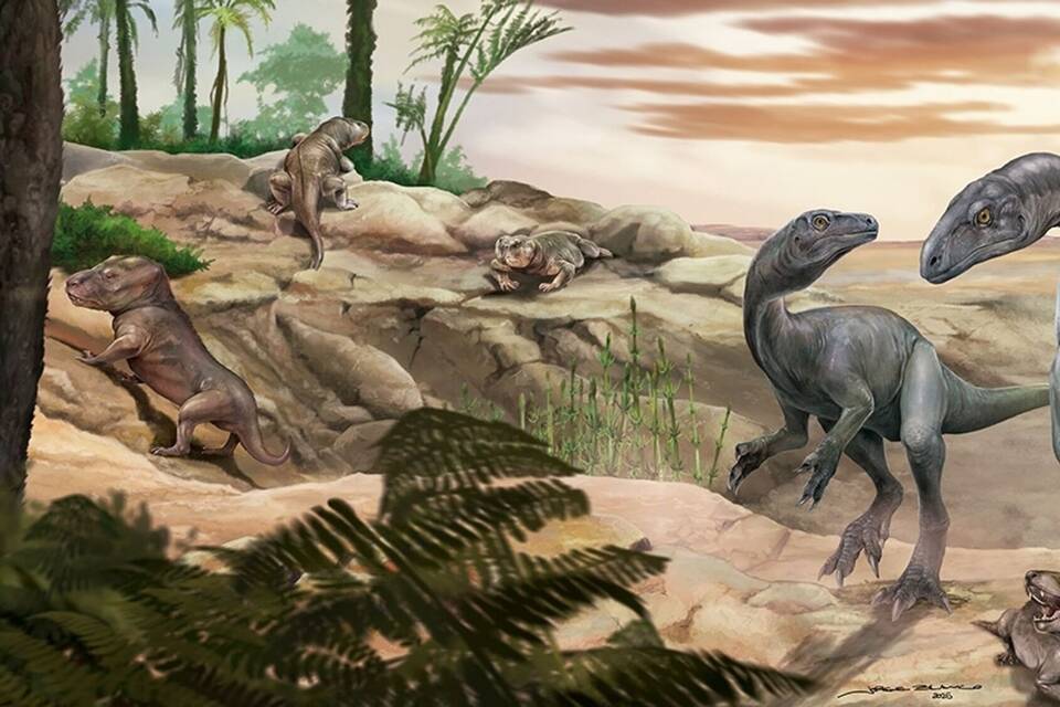 Einer der ältesten Dinosaurier in Argentinien gefunden