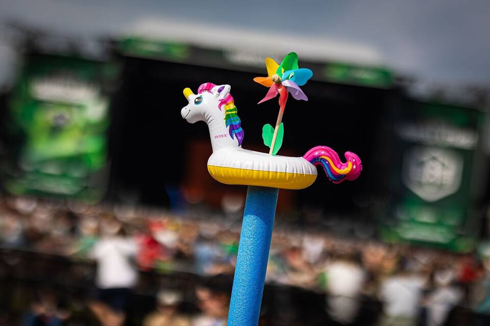 Einhorn Einhorn