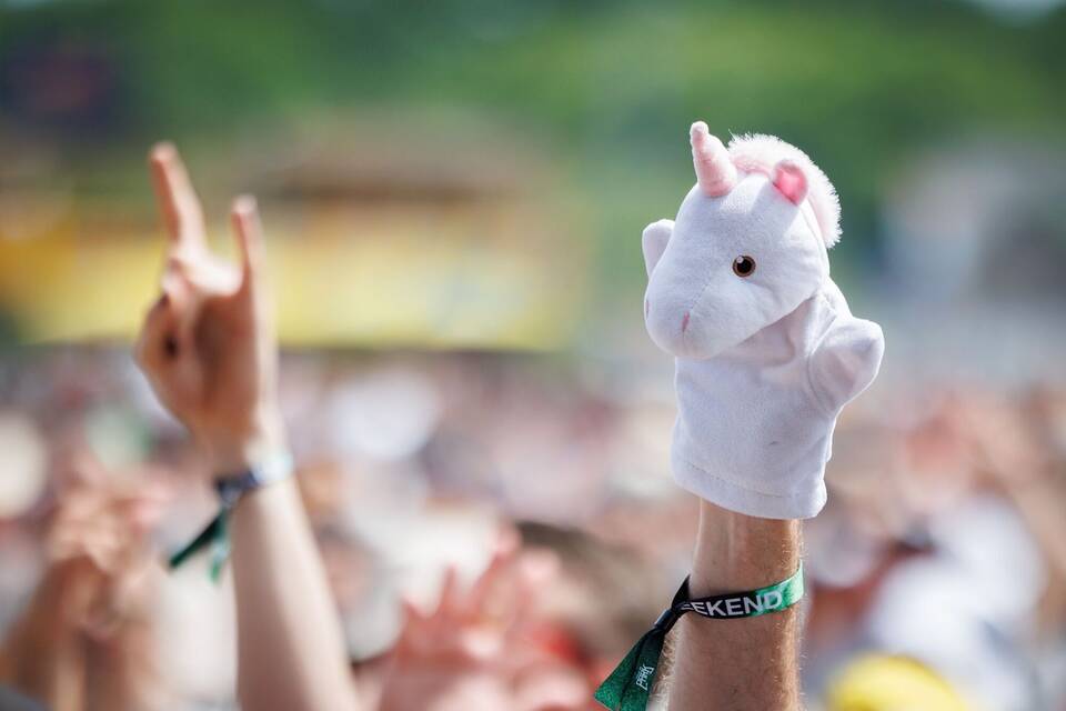 Open-Air-Festival "Rock im Park"