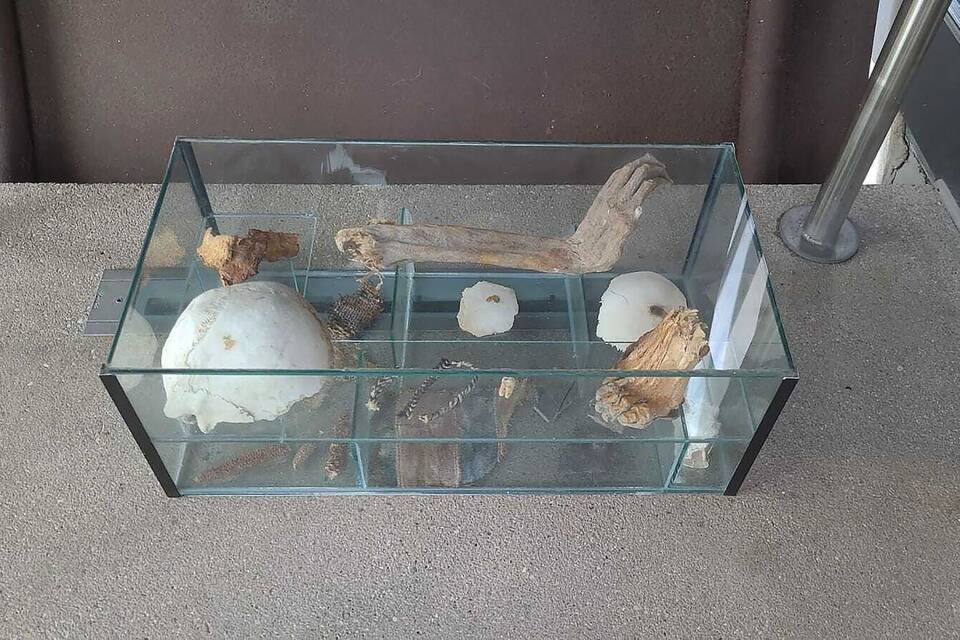 Unbekannte stellen Vitrine mit menschlichen Überresten ab Unbekannte stellen Vitrine mit menschlichen Überresten ab