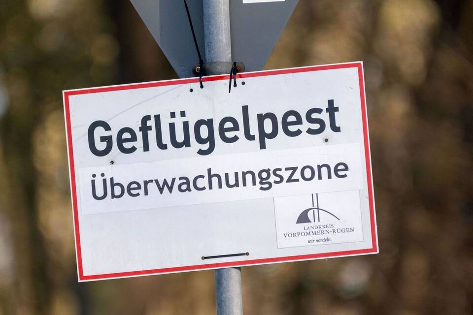 Vogelgrippe Vogelgrippe