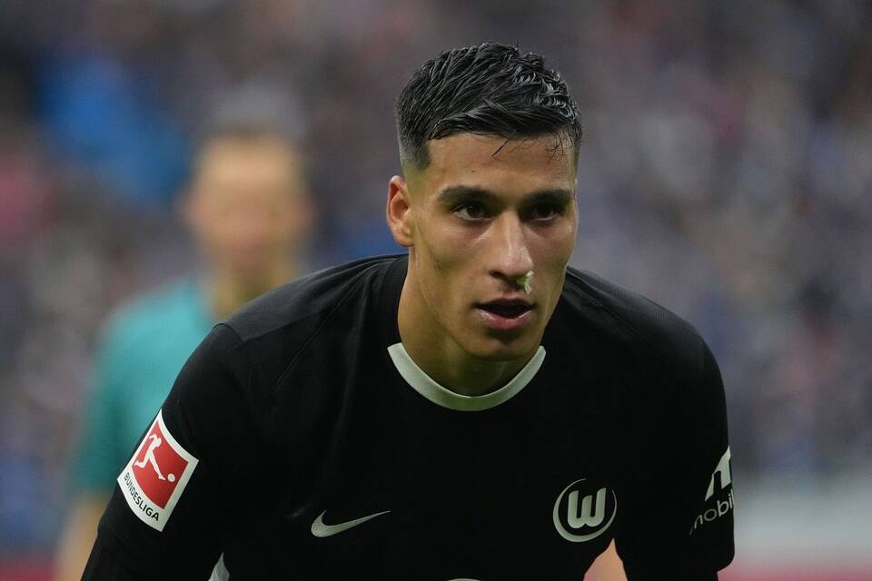 Hamburger SV - VfL Wolfsburg