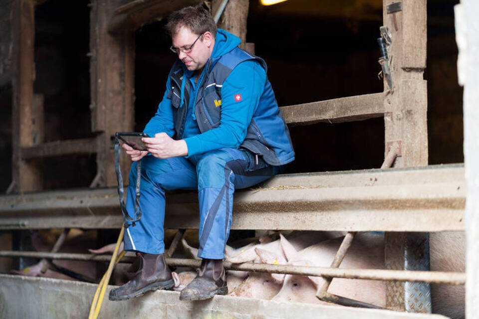 Im Schweinestall wird getwittert - warum Bauern bloggen