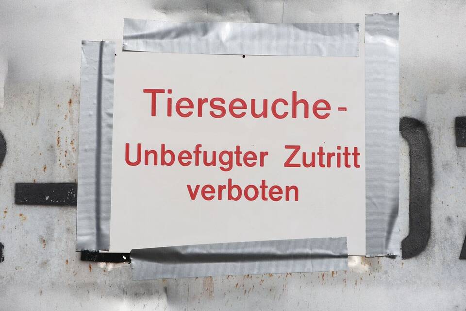 Vogelgrippe ausgebrochen Vogelgrippe ausgebrochen