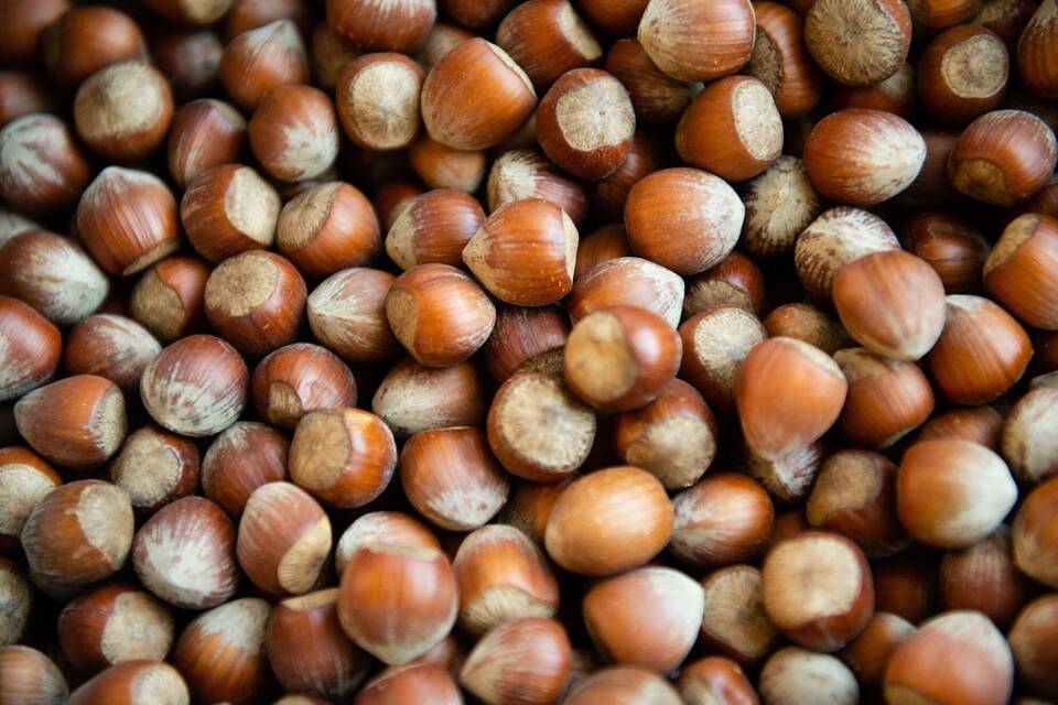 Haselnüsse Haselnüsse