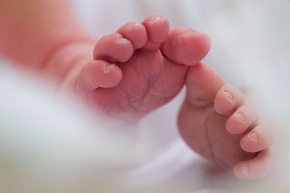 Illustration - Geburten