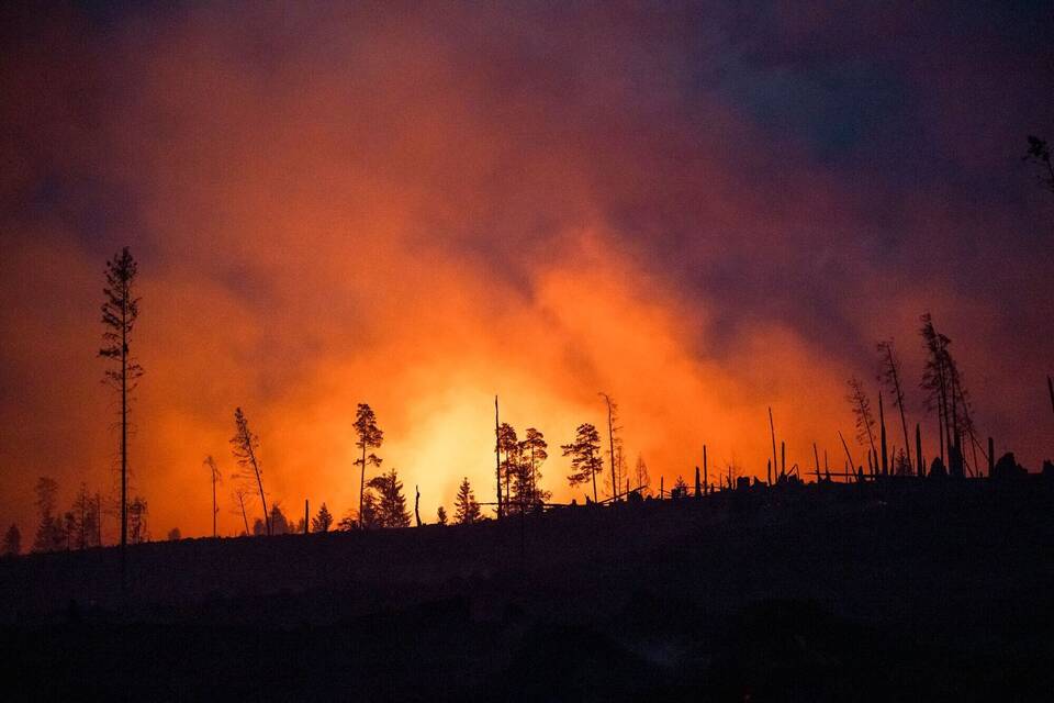Symbolbild Waldbrand