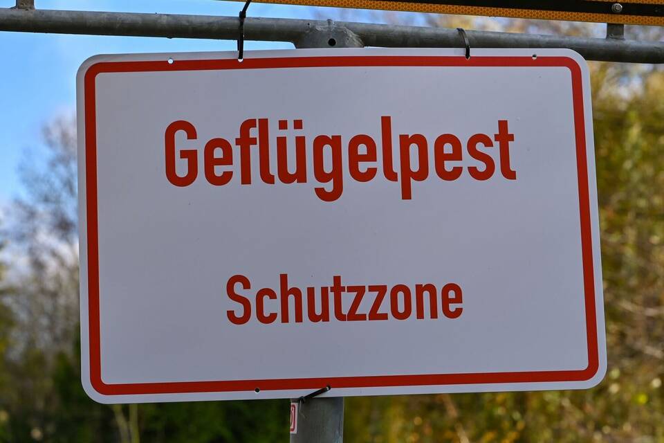 Geflügelpest