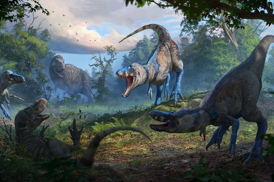 Rätsel um Tyrannosaurus rex gelöst