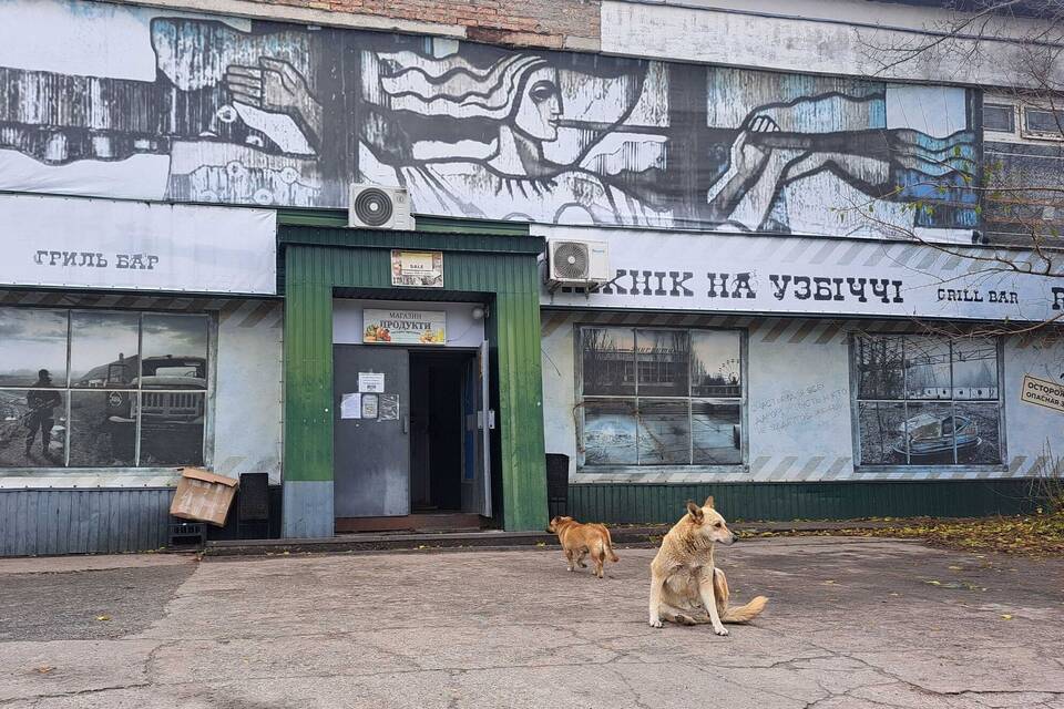 Straßenhunde in Tschernobyl Straßenhunde in Tschernobyl