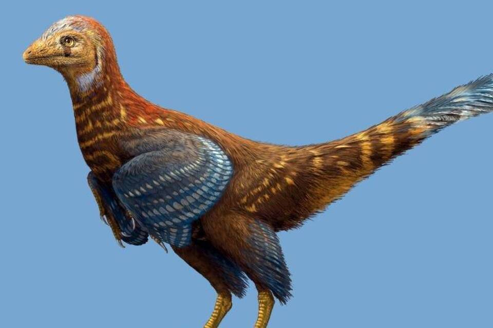 Dinosaurier mit Federn Dinosaurier mit Federn