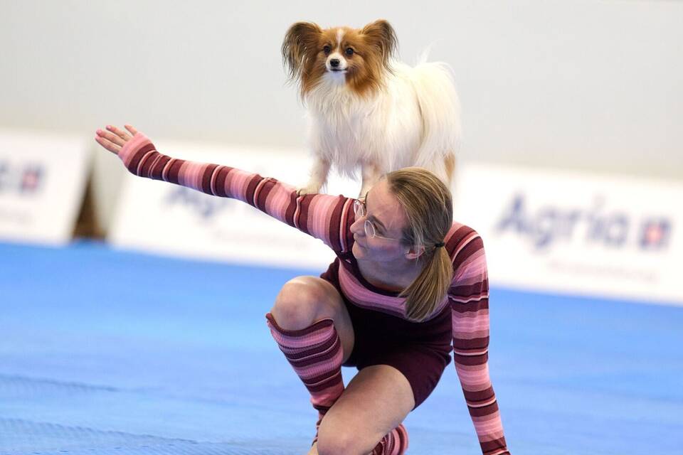 Meisterschaft im Dog Dancing auf Messe «Hund & Pferd»