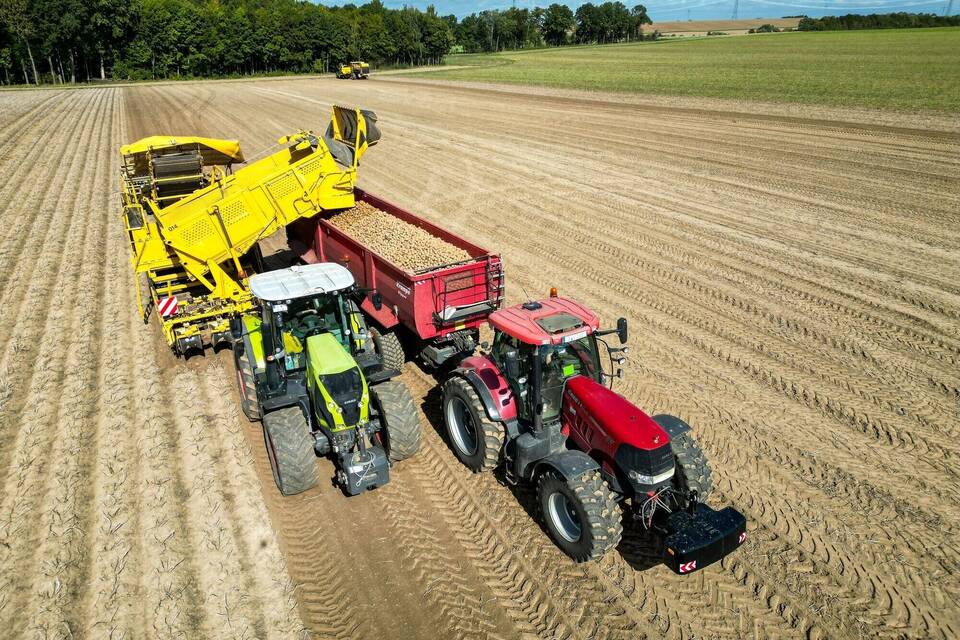 Kartoffelernte Kartoffelernte