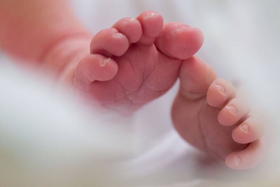 Illustration - Geburten Illustration - Geburten