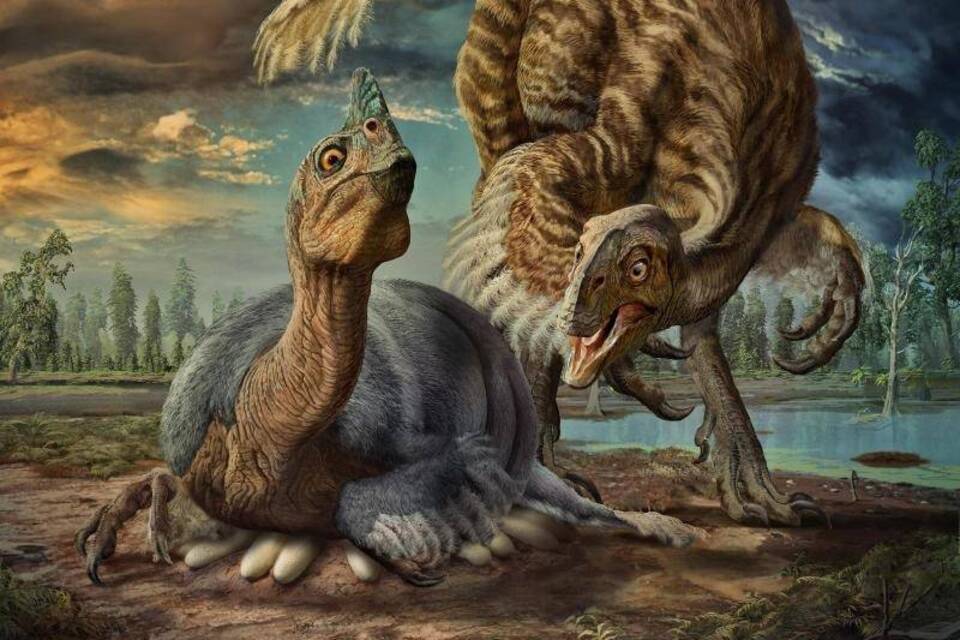 Baby Dinosaurier Baby Dinosaurier