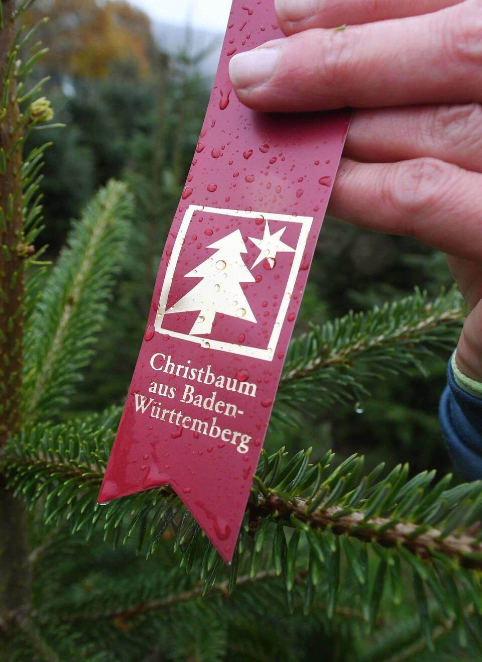 Etikett «Christbaum aus Baden-Württemberg»