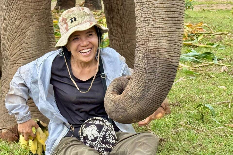 «Elefantenflüsterin» Saengduean «Lek» Chailert