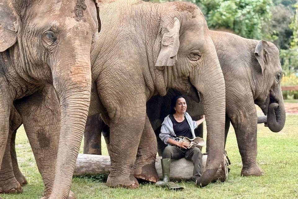 Elefantenflüsterin Saengduean «Lek» Chailert
