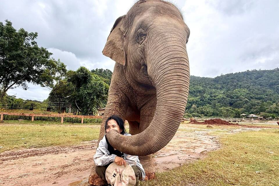 Elefantenflüsterin Saengduean «Lek» Chailert