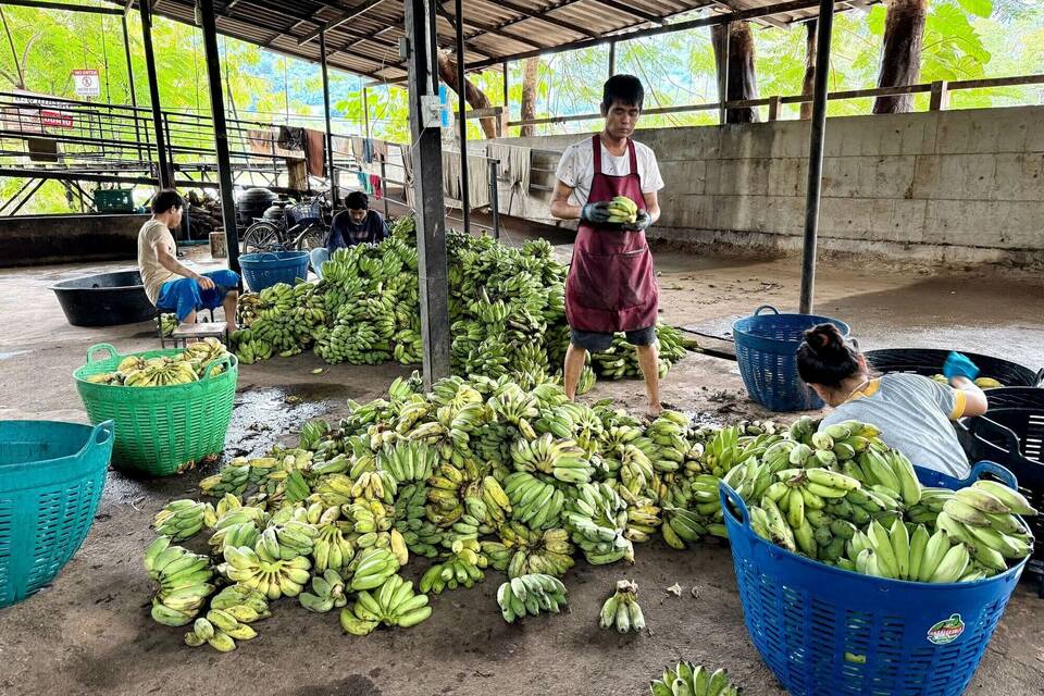 Essensvorbereitungen