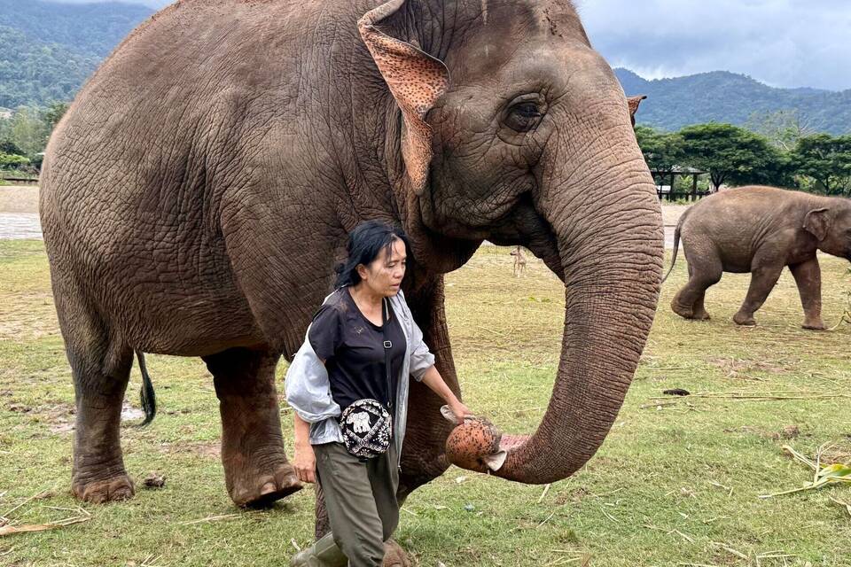 Elefantenflüsterin Saengduean «Lek» Chailert