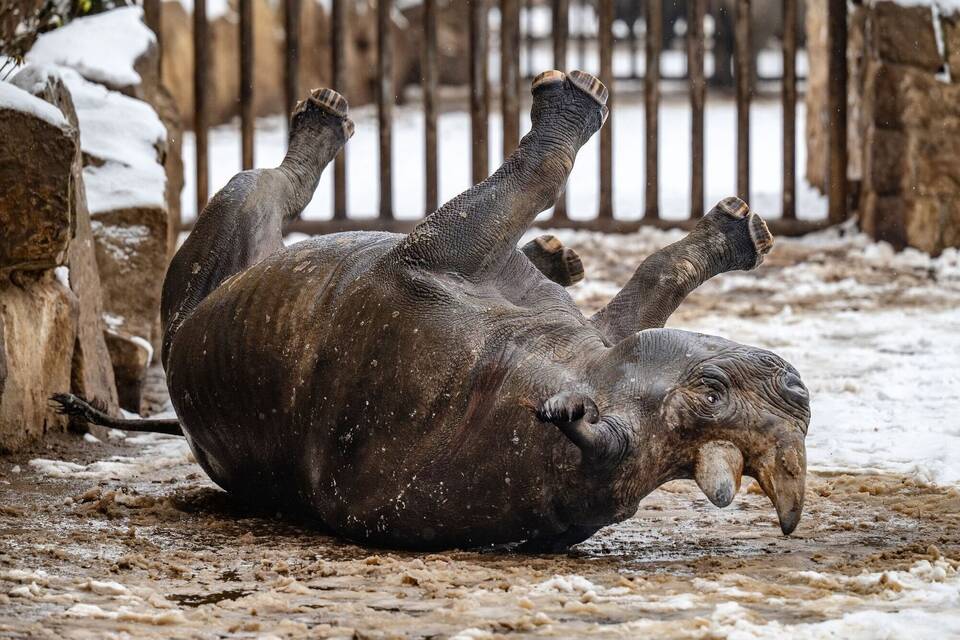 Wetter in Tschechien