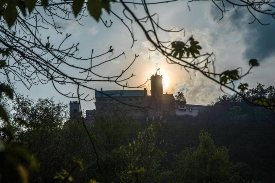 Wartburg Wartburg